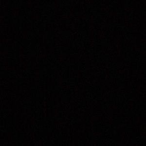 Meet your Posher, Freya